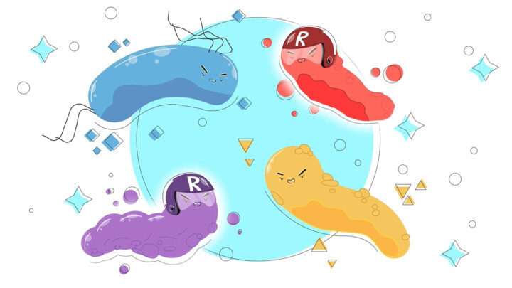 Bacteria & AMR sequence from animation 