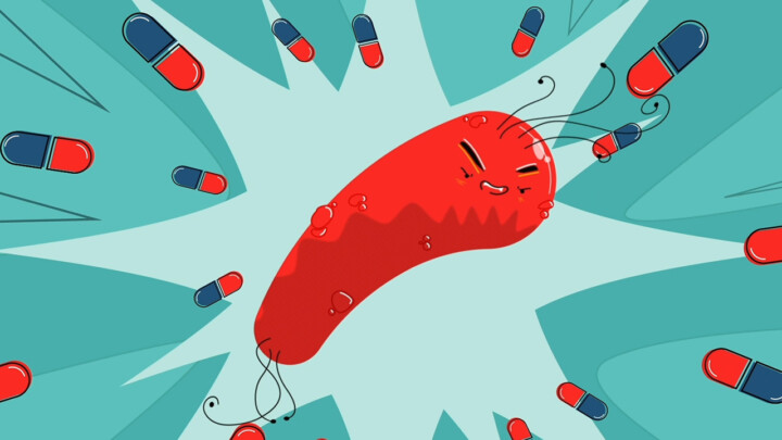 Antibiotic resistant bacterium sequence from animation 