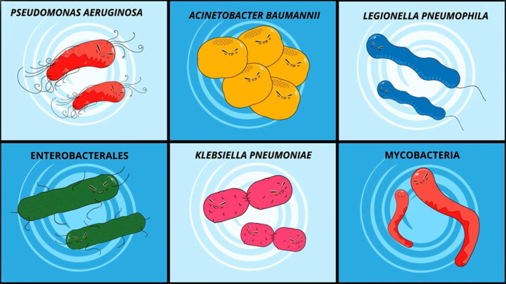 Waterborne bacteria from animation 