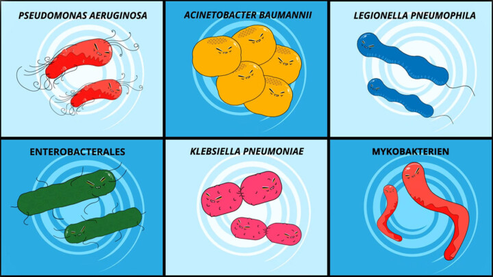 Wasserassoziierte Bakterien von der Animation 