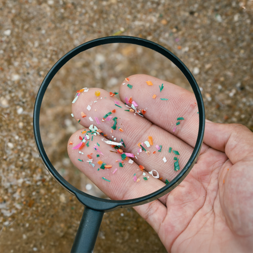 Colorful microplastic particles in a hand with a magnifying glass that enlarges the image section